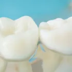 当院について